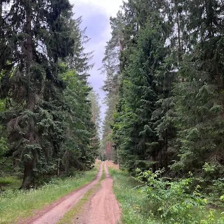 Projekt בית נופש וארכאלי