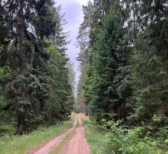 Projekt Сasa de vacaciones Warchaly