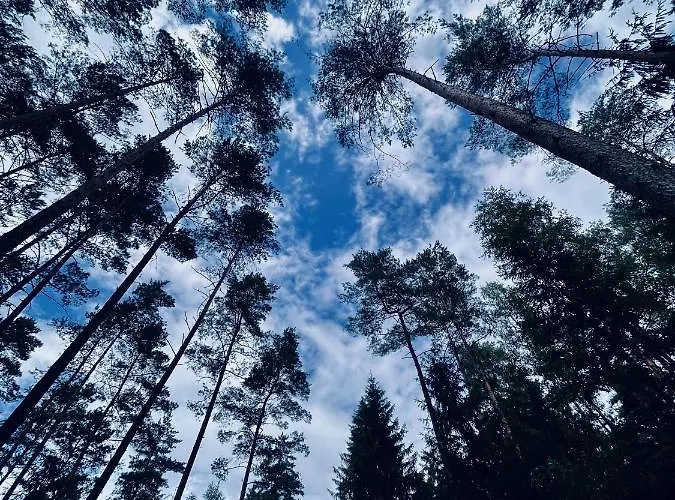 Сasa de vacaciones Projekt